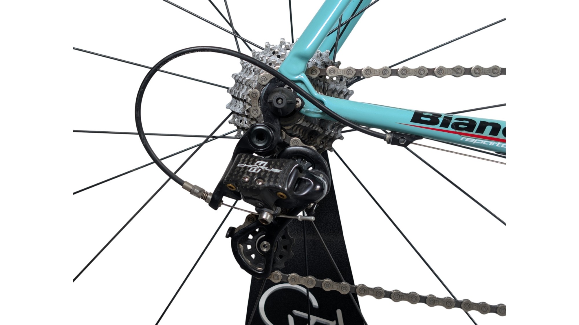 Rennrad München | Bianchi Sempre Pro| Campagnolo Chorus | 55