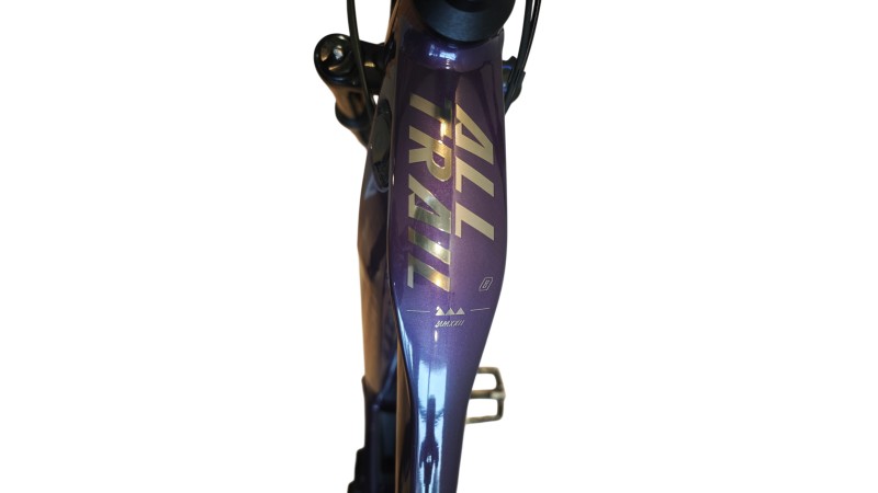 E-Bike Verona | Haibike AllTrail 8 | BOSCH | S