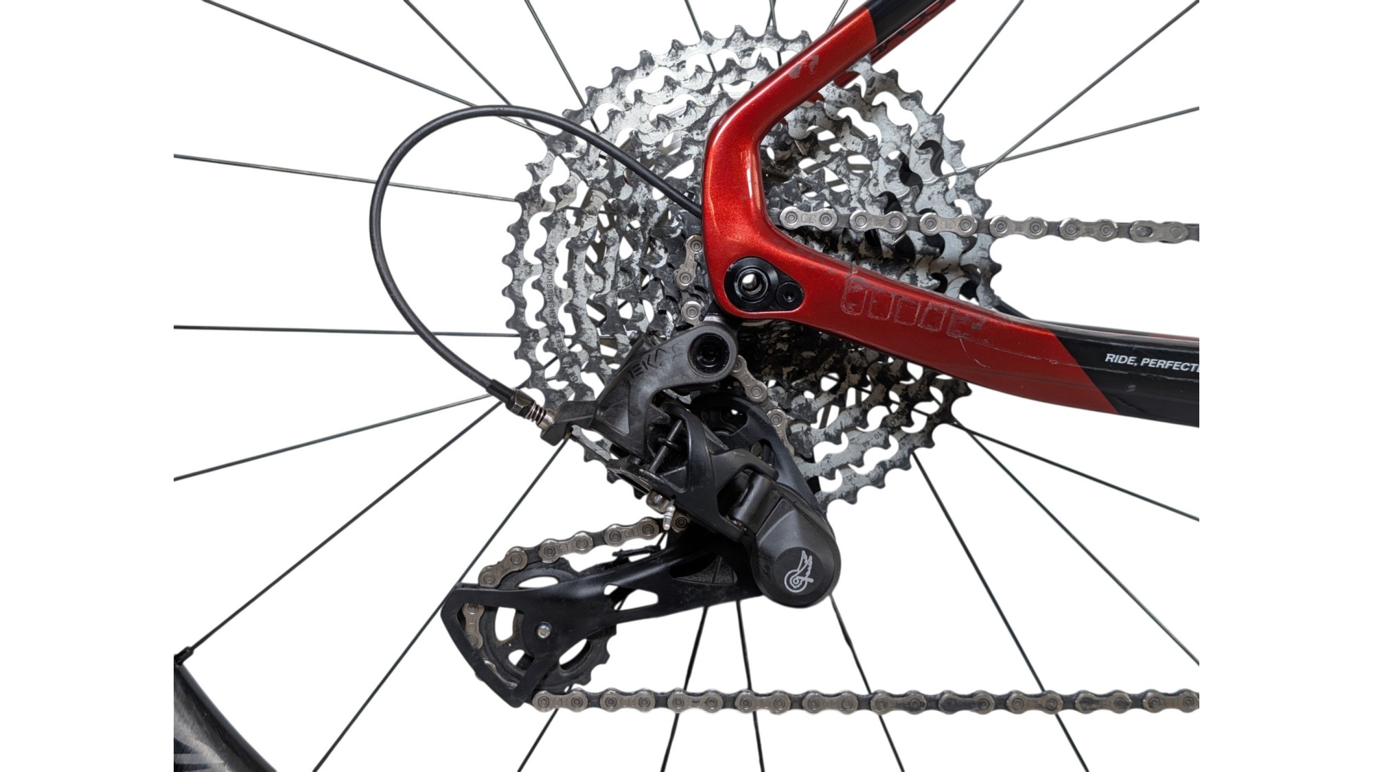 Gravel München | Basso Palta | Ekar | XS