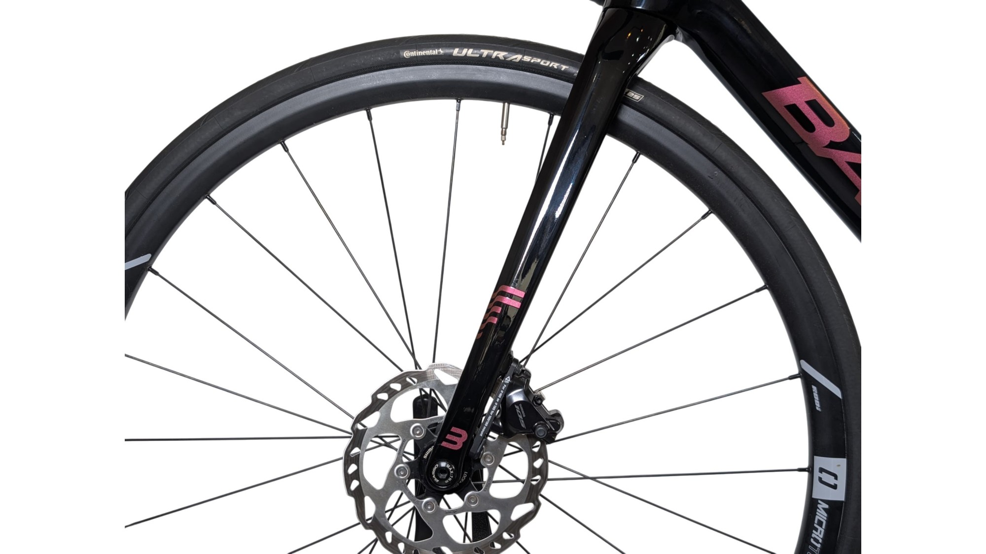 Basso München Basso Venta | 105 | S