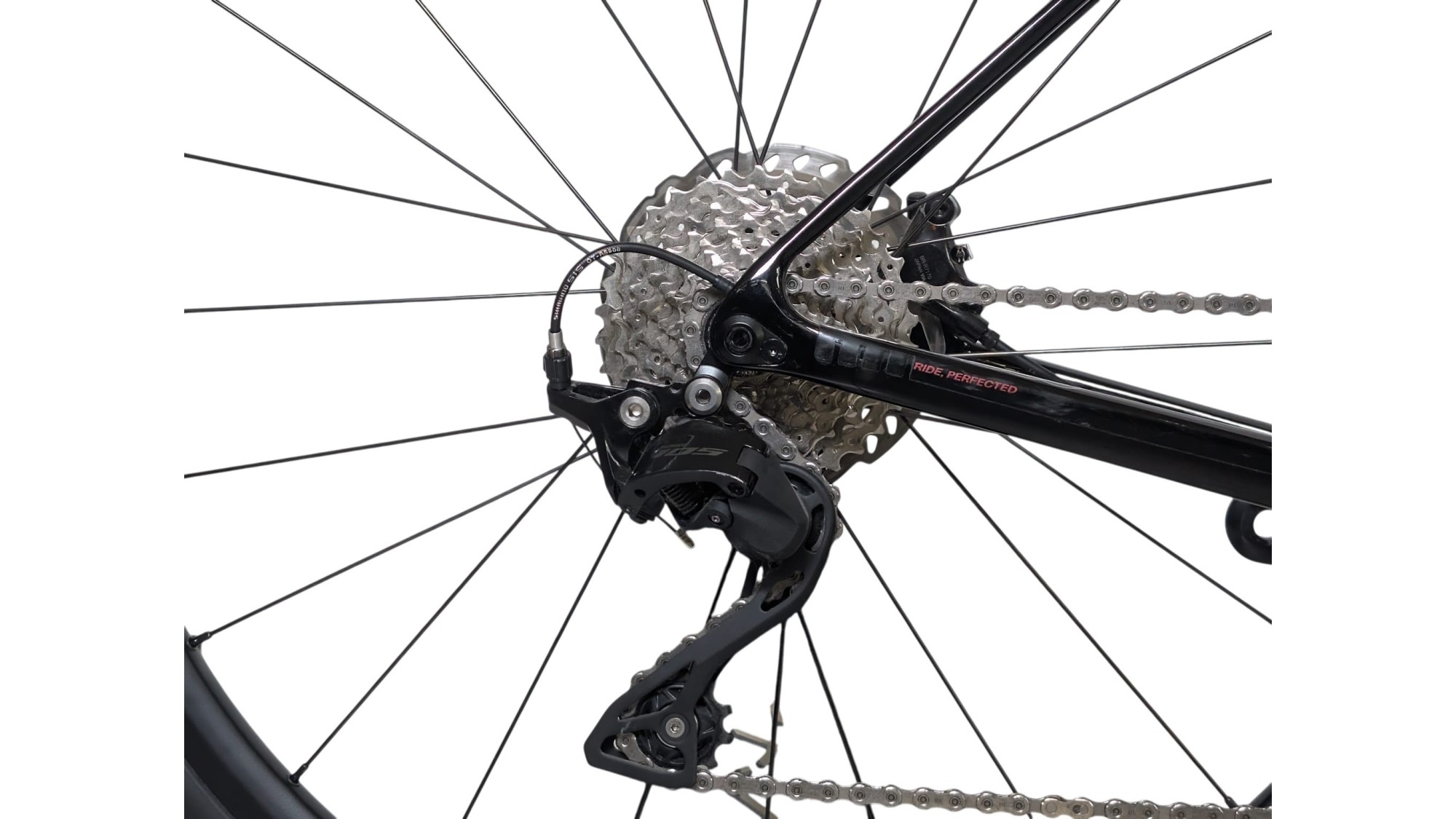 Basso München Basso Venta | 105 | S