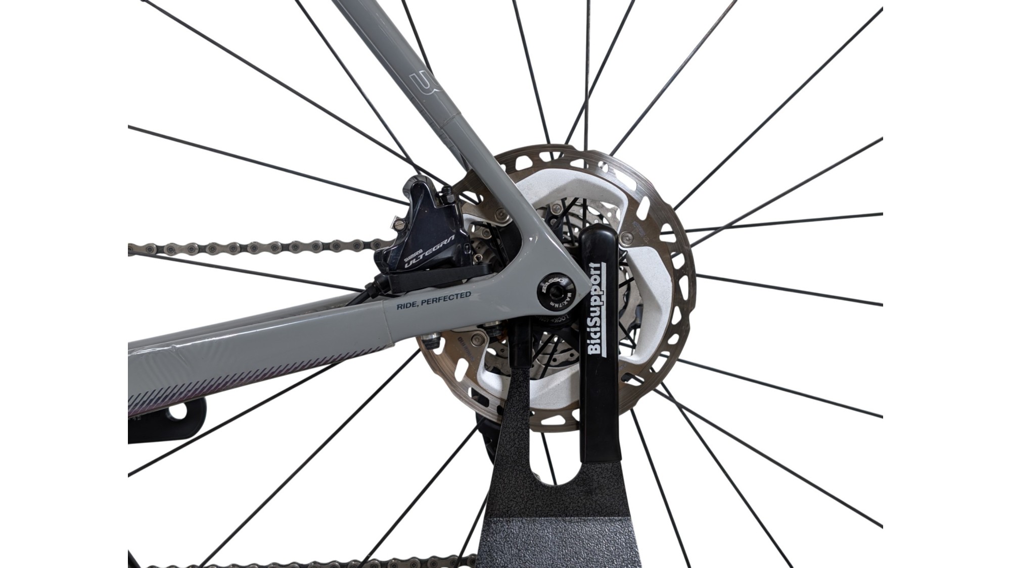 Rennrad München Basso Astra | Ultegra| 58