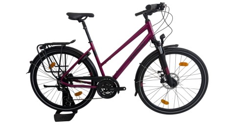 Trekkingrad München | Bergamont Horizon 6 | Shimano Alivio | 51