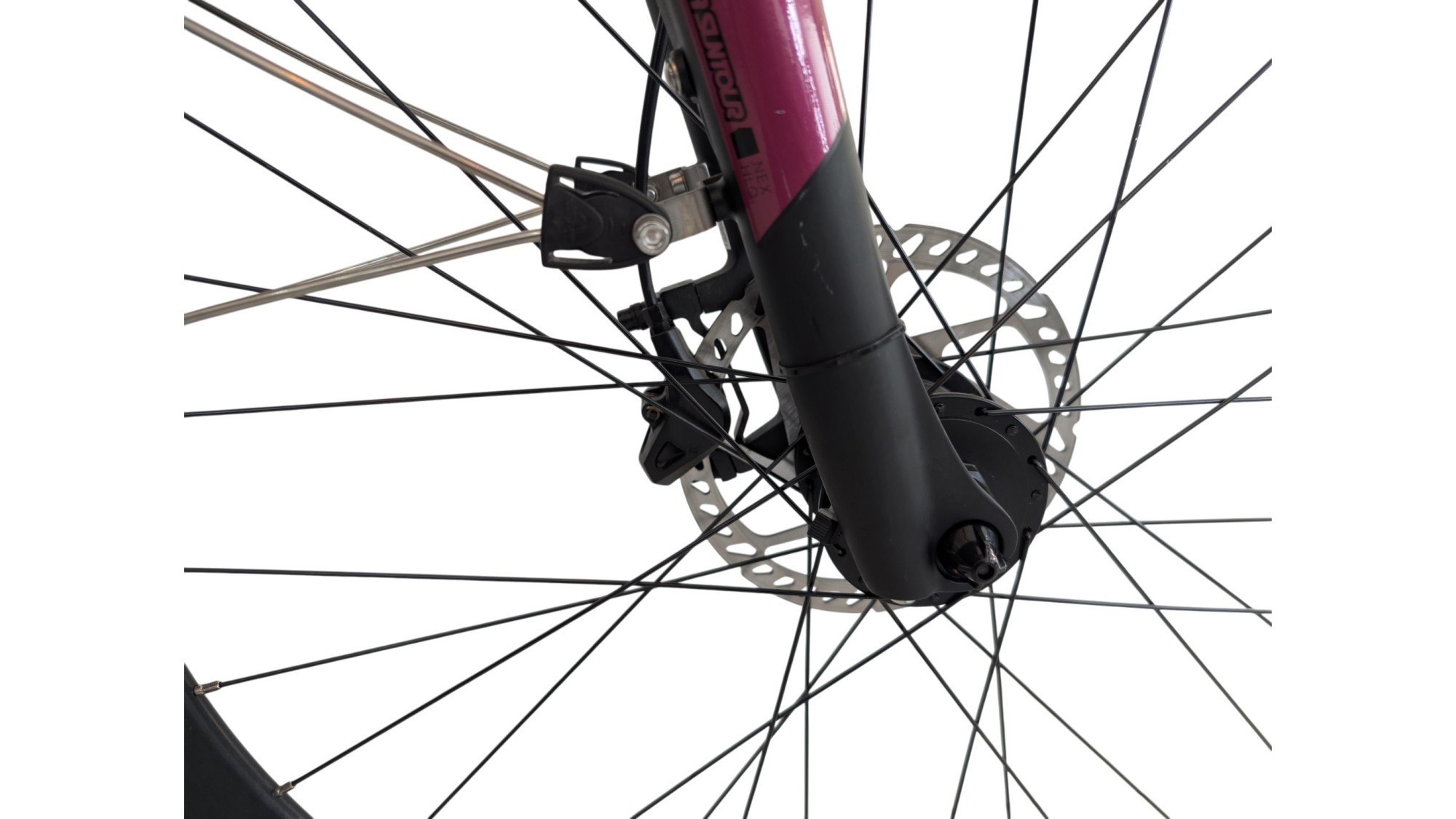 Trekkingrad München | Bergamont Horizon 6 | Shimano Alivio | 51