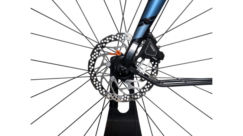 Gravel München |Bergamont Sweep 4 EQ| Claris | 52