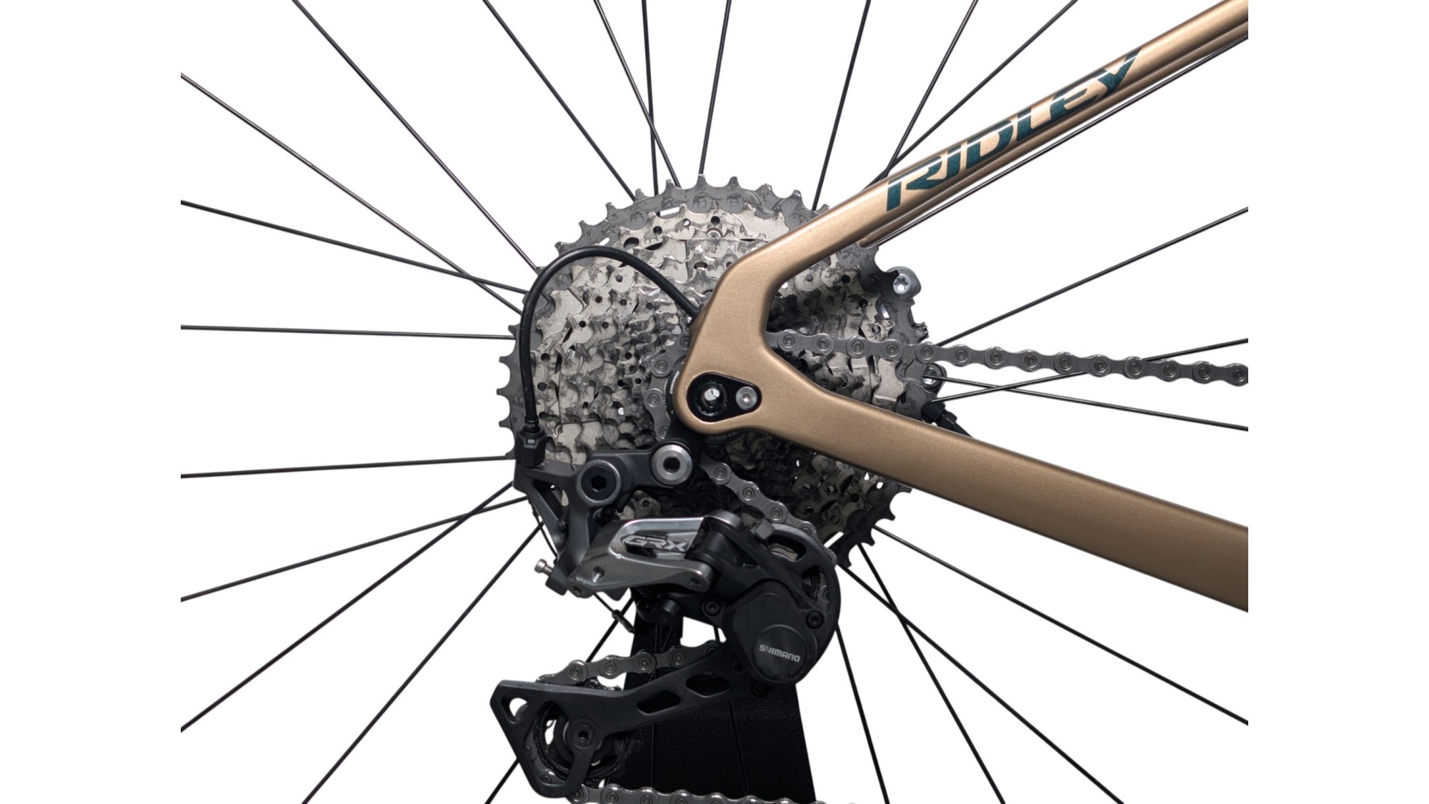 Gravel München Ridley Kanzo Adventure | GRX800 | 53