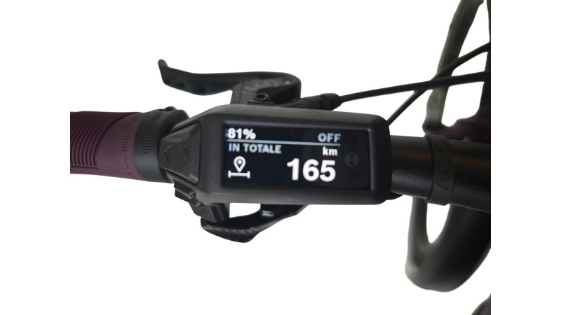 E-Bike Verona | Cube Stereo Hybrid ONE22 PRO 800 Allroad | BOSCH | L