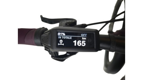 E-Bike Verona | Cube Stereo Hybrid ONE22 PRO 800 Allroad | BOSCH | L