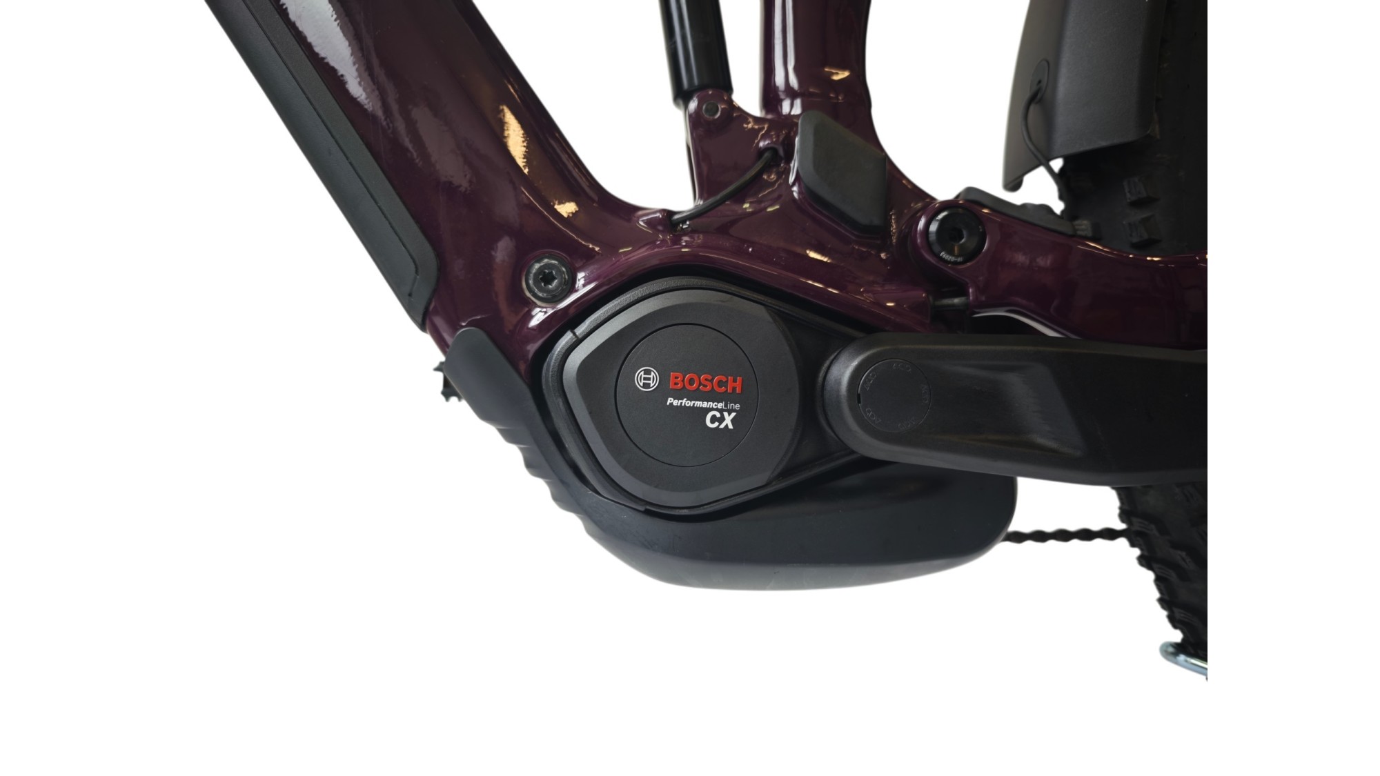 E-Bike Verona | Cube Stereo Hybrid ONE22 PRO 800 Allroad | BOSCH | L