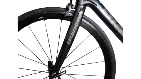 Rennrad München | Bianchi Intenso| Campagnolo| 55