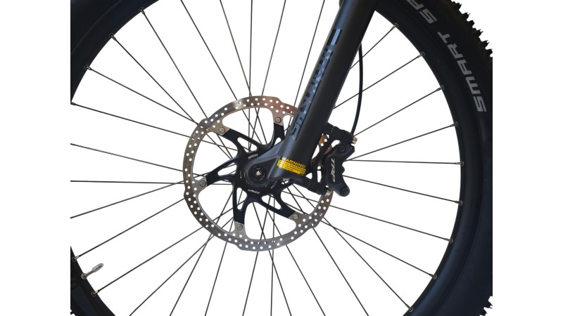 E-Bike Verona | Bulls Sonic Evo 1 | Bosch | S