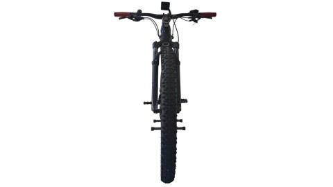 E-Bike Verona | Bulls Sonic Evo 1 | Bosch | S