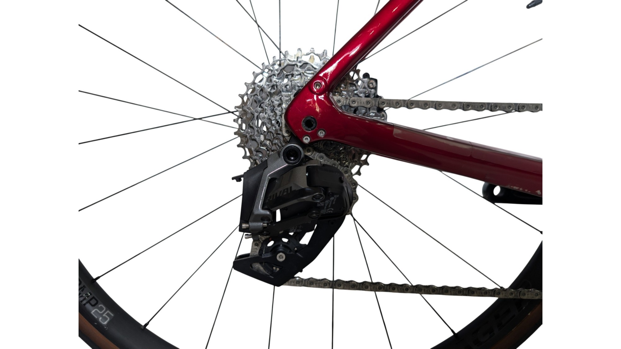 Trek Domane SL 6 Gen 4 | SRAM RIVAL AXS | 50| Bicycle Republic
