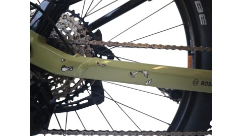 E-Bike Verona | Ghost E-Teru Advanced | BOSCH | S