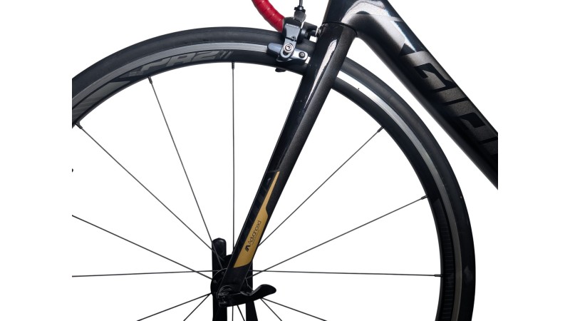 Rennrad München |Giant Advenced TCR| Ultegra| S
