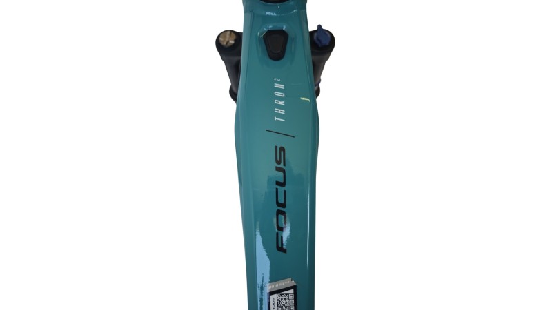 E-Bike Verona |Focus THRON² 6.7| BOSCH | S