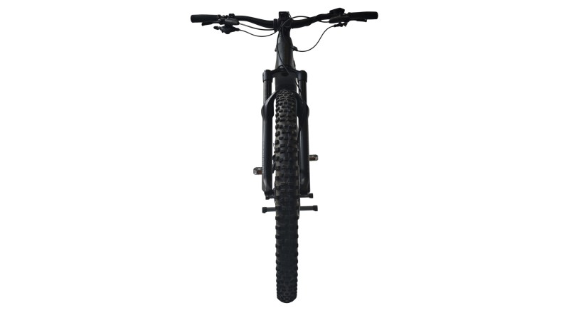 E-Bike Verona | Focus THRON² 6.8| BOSCH | L