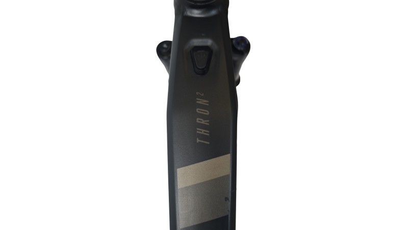 E-Bike Verona | Focus THRON² 6.8| BOSCH | L
