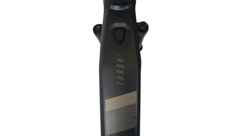 E-Bike Verona | Focus THRON² 6.8| BOSCH | L