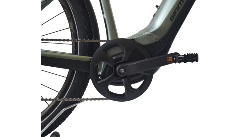 Giant Explore E+ 1  | Yamaha 75Nm | M
