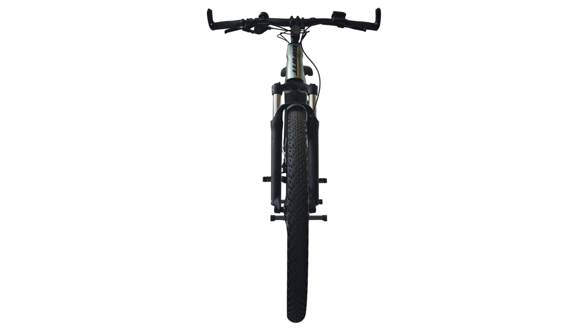 Giant Explore E+ 1  | Yamaha 75Nm | M