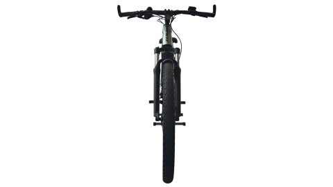 Giant Explore E+ 1  | Yamaha 75Nm | M
