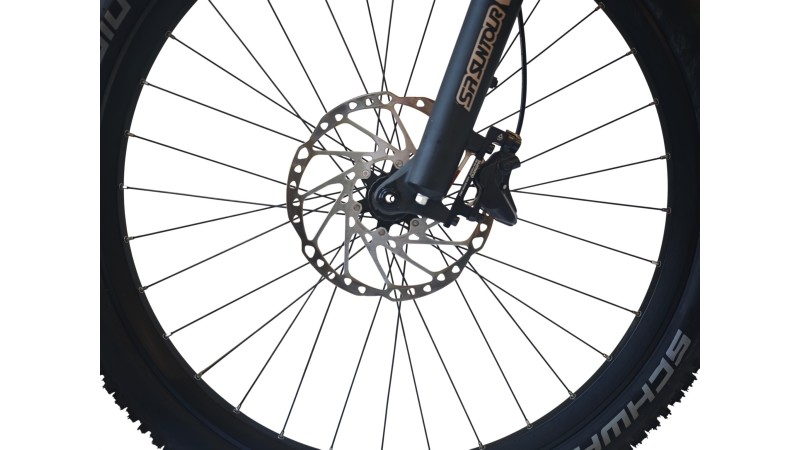 E-Bike Verona | GHOST E-Teru Universal High 600 | Bosch | M