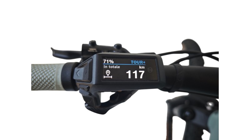 E-Bike Verona | Cube Reaction Hybrid Race 800 | Bosch |M