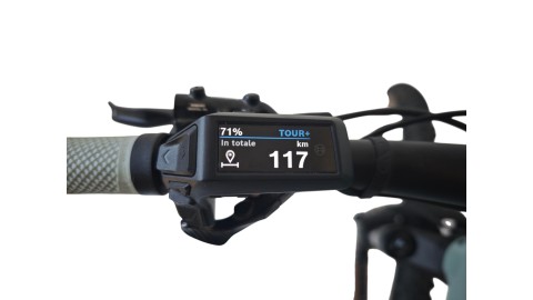 E-Bike Verona | Cube Reaction Hybrid Race 800 | Bosch |M