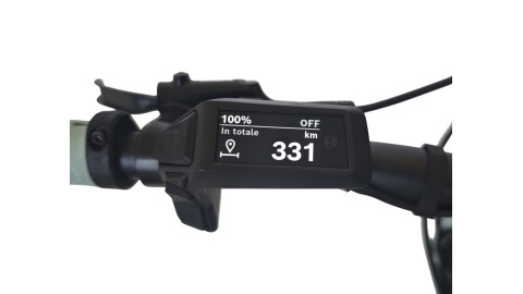 E-Bike Verona | Cube Reaction Hybrid Performance 625 | Bosch | L