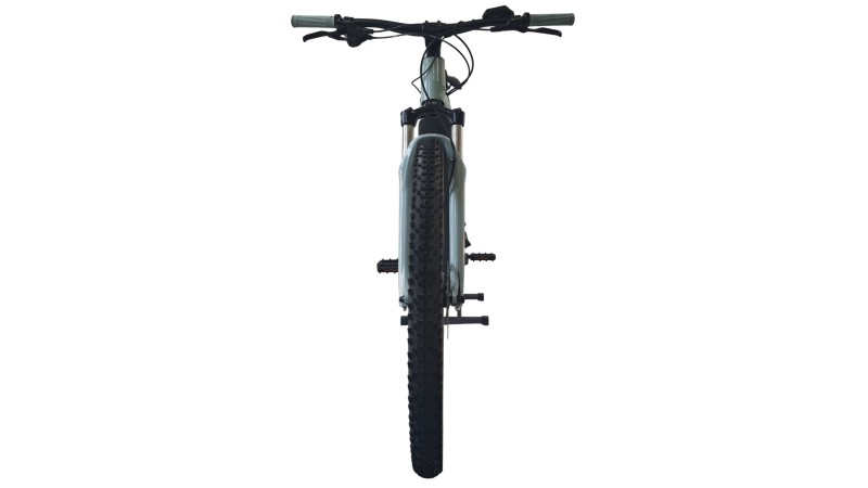 E-Bike Verona | Cube Reaction Hybrid Performance 625 | Bosch | L
