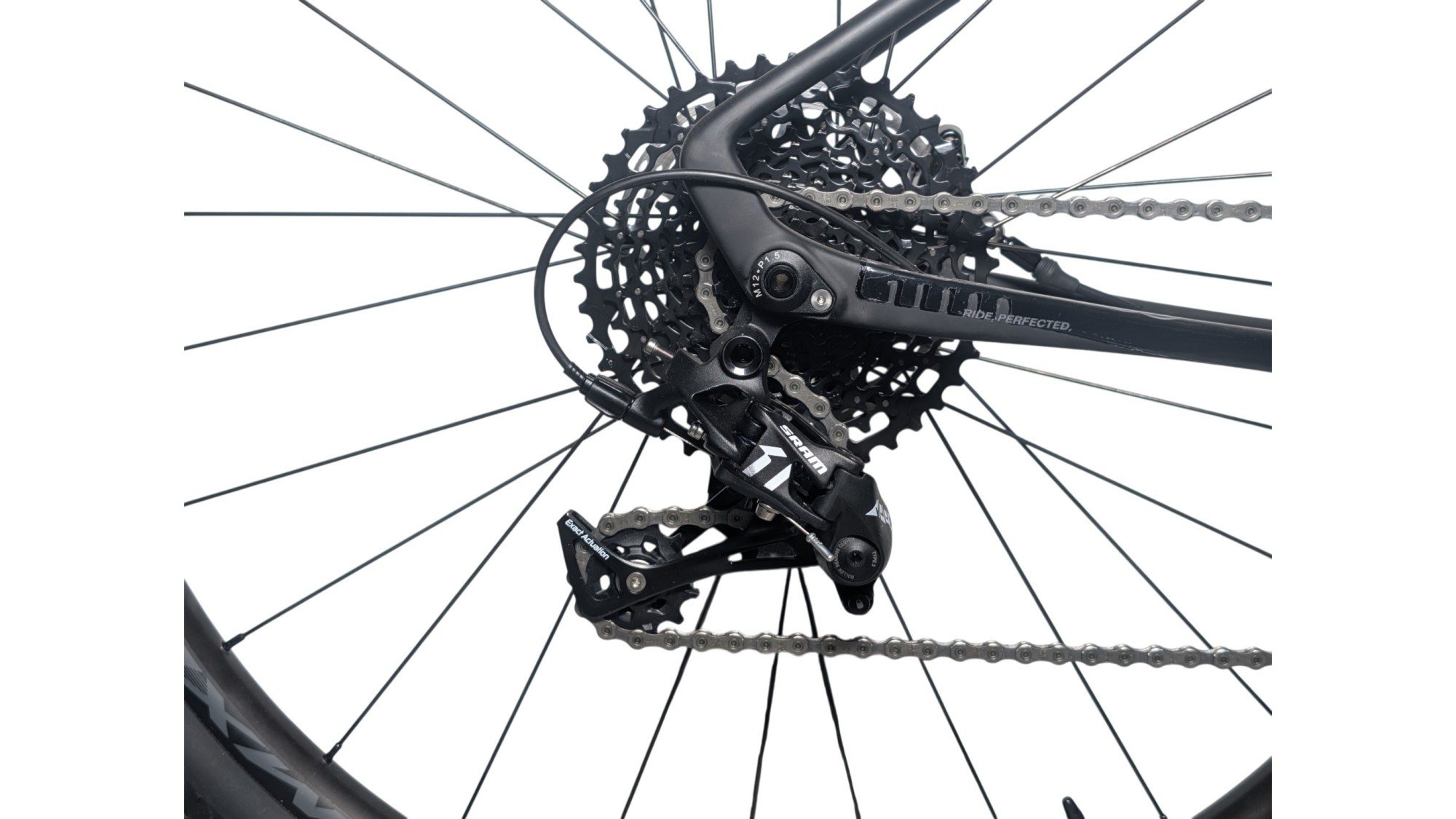 Gravel München | Basso Tera | Sram Apex | L