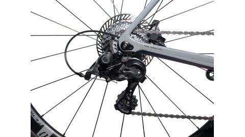 Rennrad München Basso Astra | Campagnolo Chorus| 56