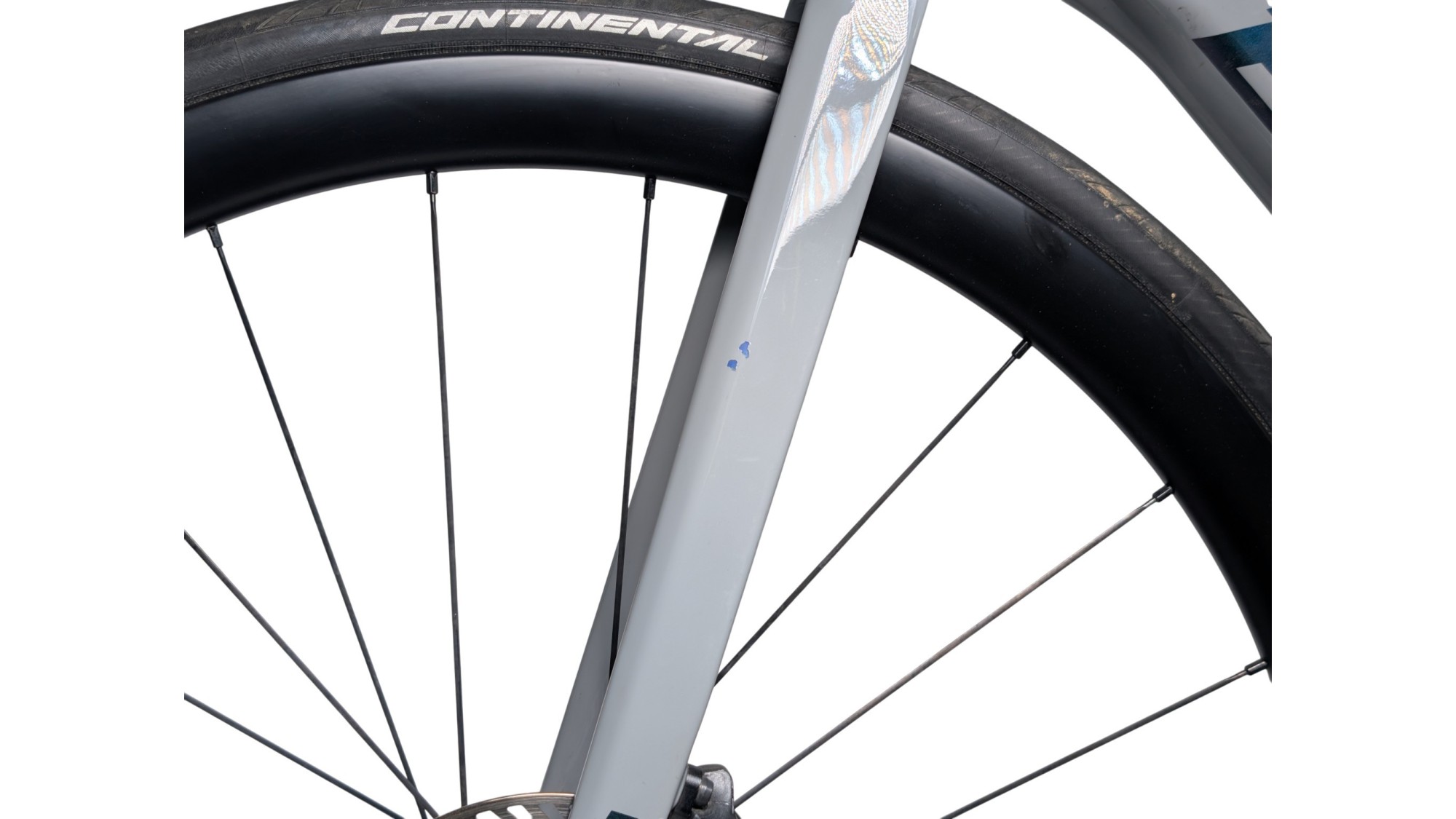 Rennrad München Basso Astra | Campagnolo Chorus| 56