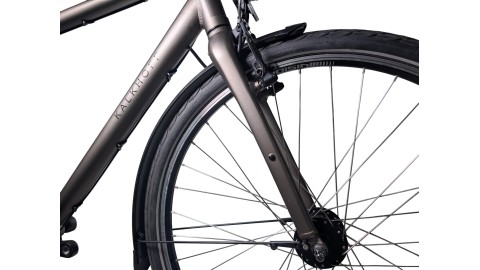 Trekkingrad München | Kalkhoff Image Lite | Shimano Nexus | L