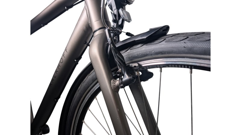 Trekkingrad München | Kalkhoff Image Lite | Shimano Nexus | L