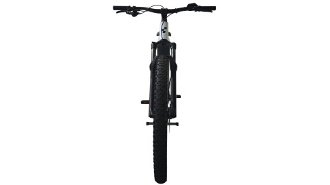 E-Bike Verona | Cube Stereo Hybrid 120 Race 750 | BOSCH | XL