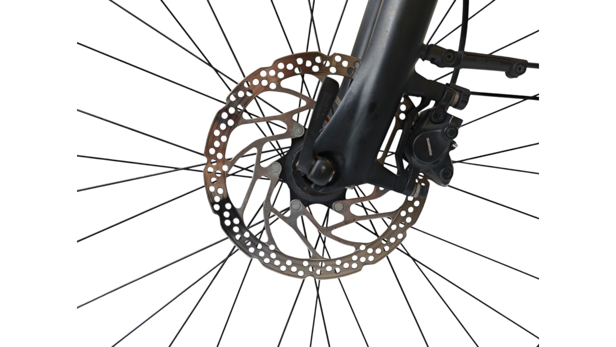 E-Bike Verona | KTM Cento 11 Plus | Kreutzer| L