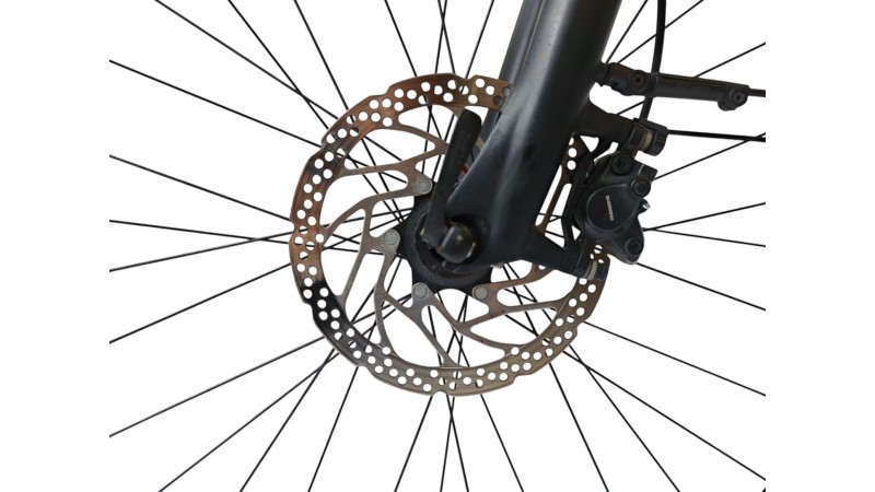 E-Bike Verona | KTM Cento 11 Plus | Kreutzer| L