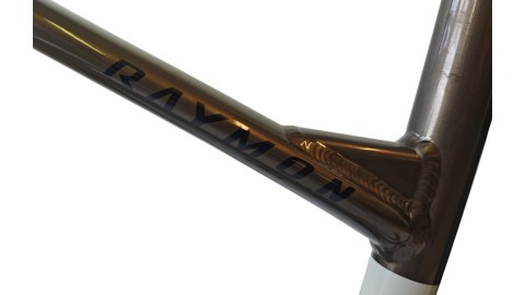 E-Bike Verona |Raymon Tourray E 5.0 | YAMAHA| M