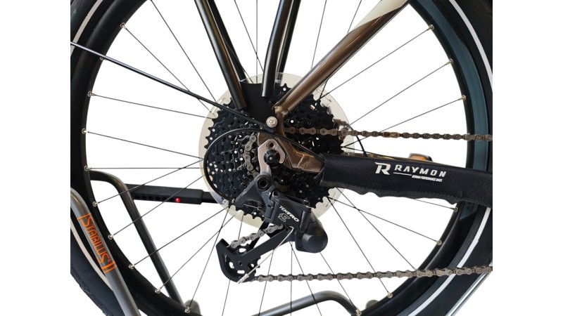 E-Bike Verona |Raymon Tourray E 5.0 | YAMAHA| M