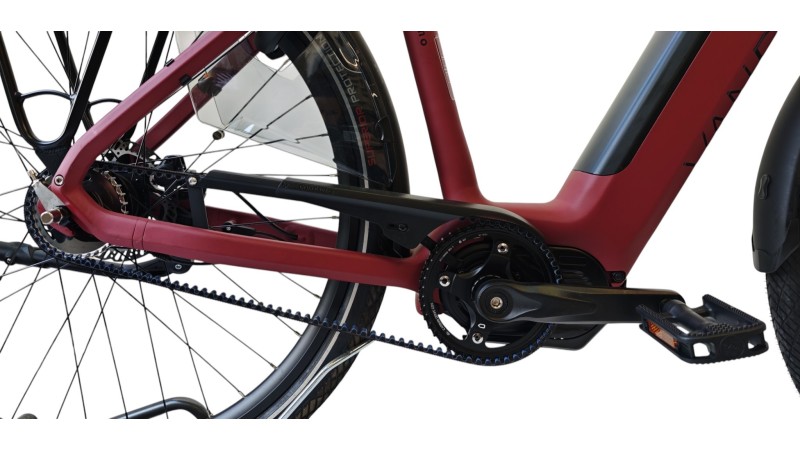 E-Bike Verona | VanDijck Juno | Kreutzer | M