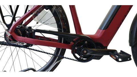 E-Bike Verona | VanDijck Juno | Kreutzer | M