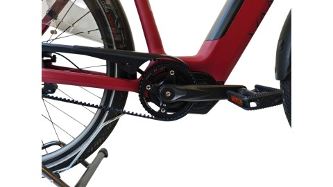 E-Bike Verona | VanDijck Juno | Kreutzer | M