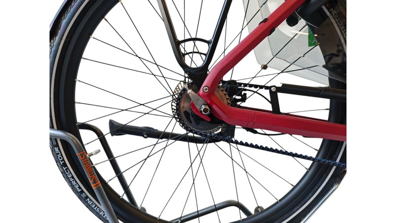 E-Bike Verona | VanDijck Juno | Kreutzer | M