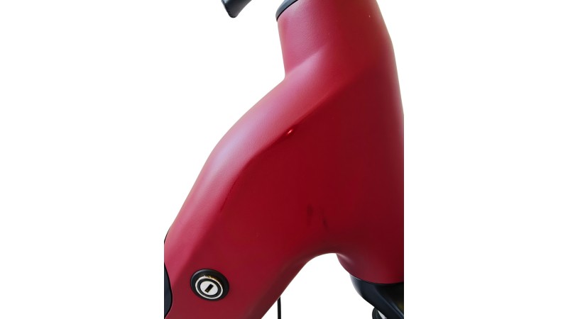 E-Bike Verona | VanDijck Juno | Kreutzer | M