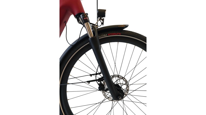 E-Bike Verona | VanDijck Juno | Kreutzer | M