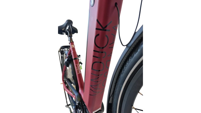 E-Bike Verona | VanDijck Juno | Kreutzer | M