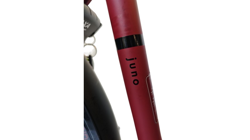 E-Bike Verona | VanDijck Juno | Kreutzer | M