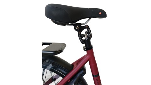 E-Bike Verona | VanDijck Juno | Kreutzer | M